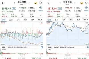 开云官网入口登录手机版下载安装